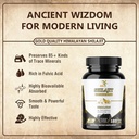 shilajit-pure-himalayan-capsules-fulvic--2.jpg