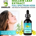 undelios-herbal-mullein-leaf-extract---o-6.jpg