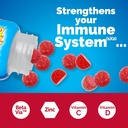 emergen-c-immune-triple-action-immune-su-3.jpg