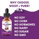 dog-melatonin---melatonin-for-dogs---dog-6.jpg