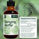 stinging-nettle-leaf-and-root-4-fl-oz-li-2.jpg