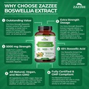 zazzee-extra-strength-boswellia-serrata--6.jpg