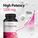 berberine-hcl-1200mg-high-potency-supple-2.jpg