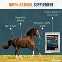 greenfit-apolos-100-natural-horse-supple-2.jpg