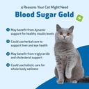 pet-wellbeing---blood-sugar-gold-for-cat-3.jpg