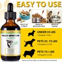 yeast-infection-treatment-for-dogs-dog-e-5.jpg
