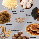 complex-7---organic-reishi-lions-mane-co-4.jpg