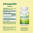 ashwagandha-500mg-stress-relief-mood-bal-2.jpg