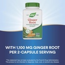 natures-way-ginger-root-capsules-550-mg--4.jpg