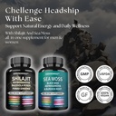 shilajit-and-sea-moss-combo--sea-moss-30-6.jpg
