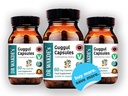 dr-wakdes-guggul-capsules-mukul-myrrh-co-5.jpg