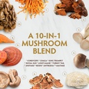 tribe-organics-mushroom-golden-blend-veg-4.jpg