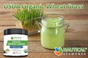 wheatgrass-powder---usda-certified-organ-6.jpg