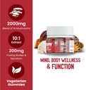 troomy-daily-14-mushroom-blend-gummies---2.jpg