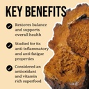 north-spore-organic-chaga-mushroom-tinct-3.jpg