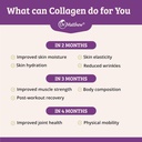 dr-matthew-hydrolyzed-collagen-peptides--4.jpg