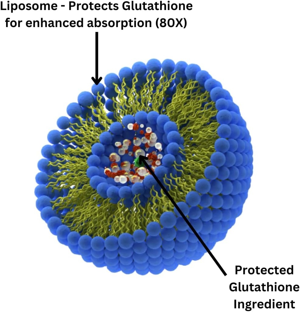 research-labs-liposomal-glutathione-supp-6.jpg