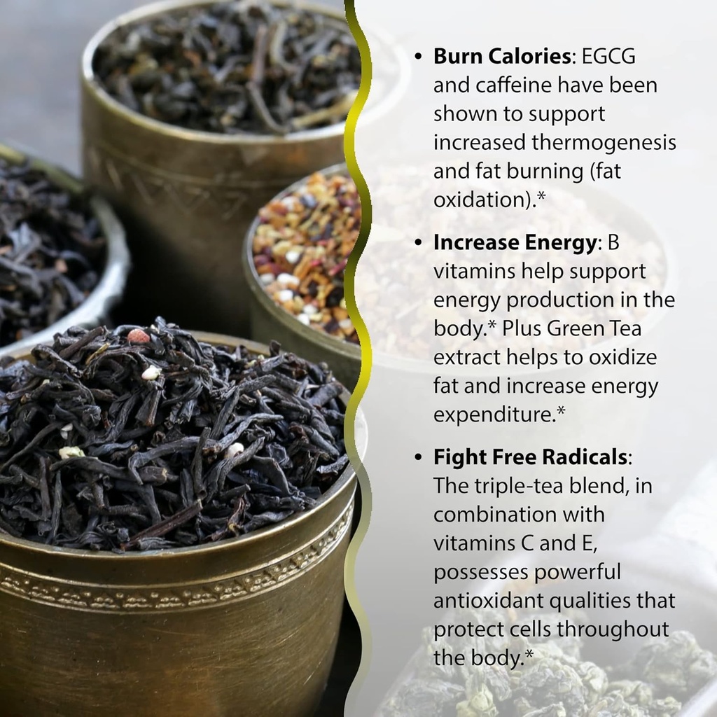 irwin-naturals-triple-tea-fat-burner-75--5.jpg