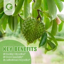 organic-soursop-gummies-and-soursop-liqu-6.jpg
