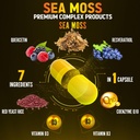 zolotus-7-in-1-sea-moss-supplement-red-y-3.jpg
