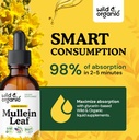 wild-organic-mullein-drops-for-lungs---l-4.jpg