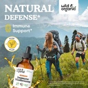 wild-organic-immune-mushroom-tincture----2.jpg