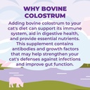 zenapet-cat-colostrum-plus-premium-powde-6.jpg