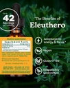 herb-pharm-eleuthero-root-liquid-extract-2.jpg