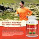 purely-holistic-vitamin-b2-riboflavin-40-6.jpg