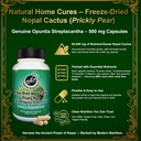 nopal-cactus-capsules---freeze-dried-pri-3.jpg