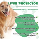 kidney-support-for-dogs60mlkidney-suppor-3.jpg