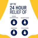 astepro-allergy-nasal-spray-24-hour-alle-4.jpg