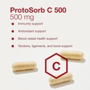 protocol-protosorb-c-500---highly-absorb-4.jpg