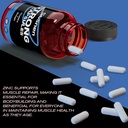 strong-capsules-with-oyster-titanium-sea-2.jpg