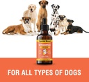 vitamin-c-for-dogs-helps-support-immune--3.jpg