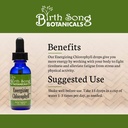 birth-song-botanicals-energizing-chlorop-5.jpg