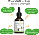pet-wellbeing-urinary-gold-for-dogs---ve-4.jpg
