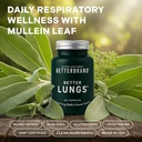 betterbrand-betterlungs-lung-support-sup-2.jpg
