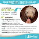 raw-paws-natural-dog-probiotic-supplemen-3.jpg