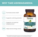 himalaya-organic-ashwagandha-90-day-supp-3.jpg