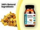 dr-wakdes-devdaru-capsules-cedrus-deodar-4.jpg