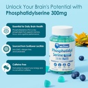 phosphatidylserine---nootropic-brian-sup-3.jpg