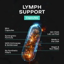 herbal-lymph-system-support-supplement---6.jpg