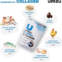 umzu-zucollagen-hydrolyzed-protein-powde-3.jpg