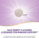 natures-way-zinc-lozenges-with-vitamin-c-3.jpg