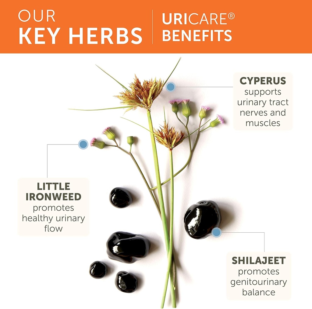 himalaya-uricare-herbal-supplement-kidne-4.jpg