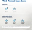 north-american-herb-spice-elder-c---3-oz-3.jpg