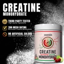 ekkovision-creatine-monohydrate-powder-m-2.jpg