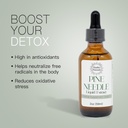 pine-needle-extract---made-from-wildcraf-4.jpg