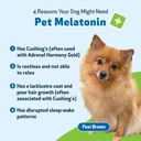 pet-wellbeing-adrenal-care-kit-for-dogs--6.jpg